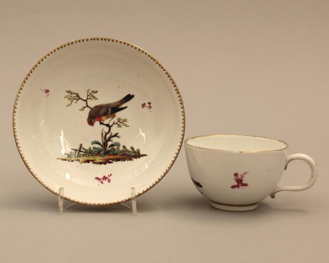 Cup and saucer with ornithological design