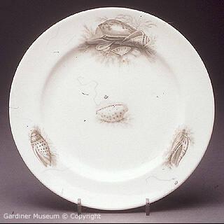 Plate printed with shell design